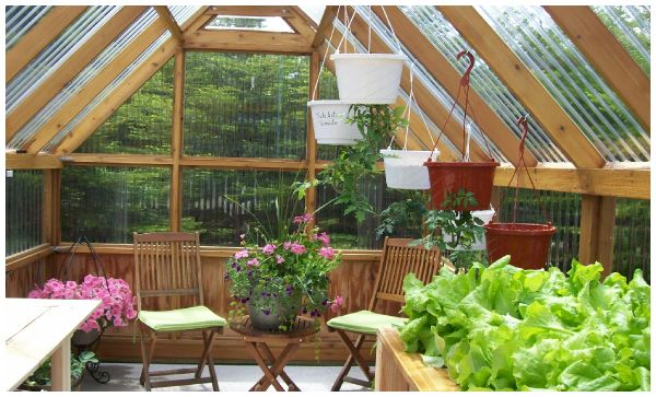 greenhouse plans - photo from inside the greenhouse kit