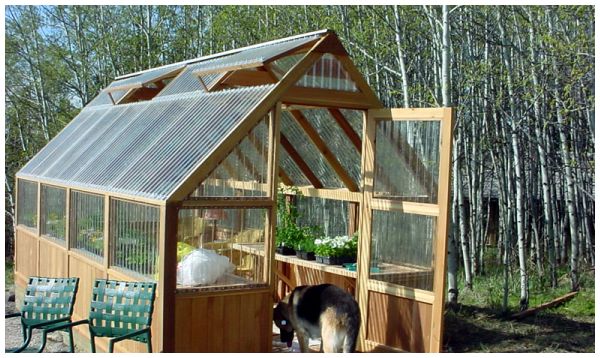 dogs and hobby greenhouses
